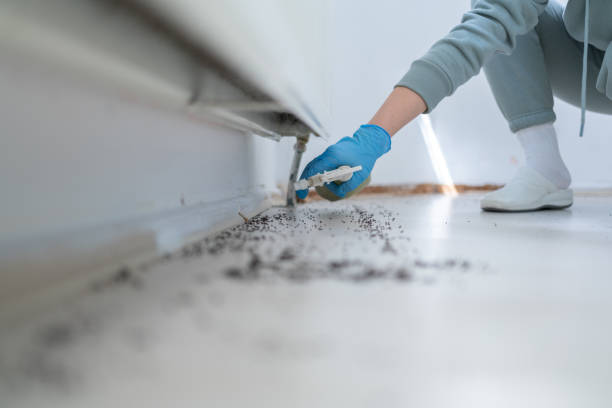 Best Pest Removal Services  in Humble, TX